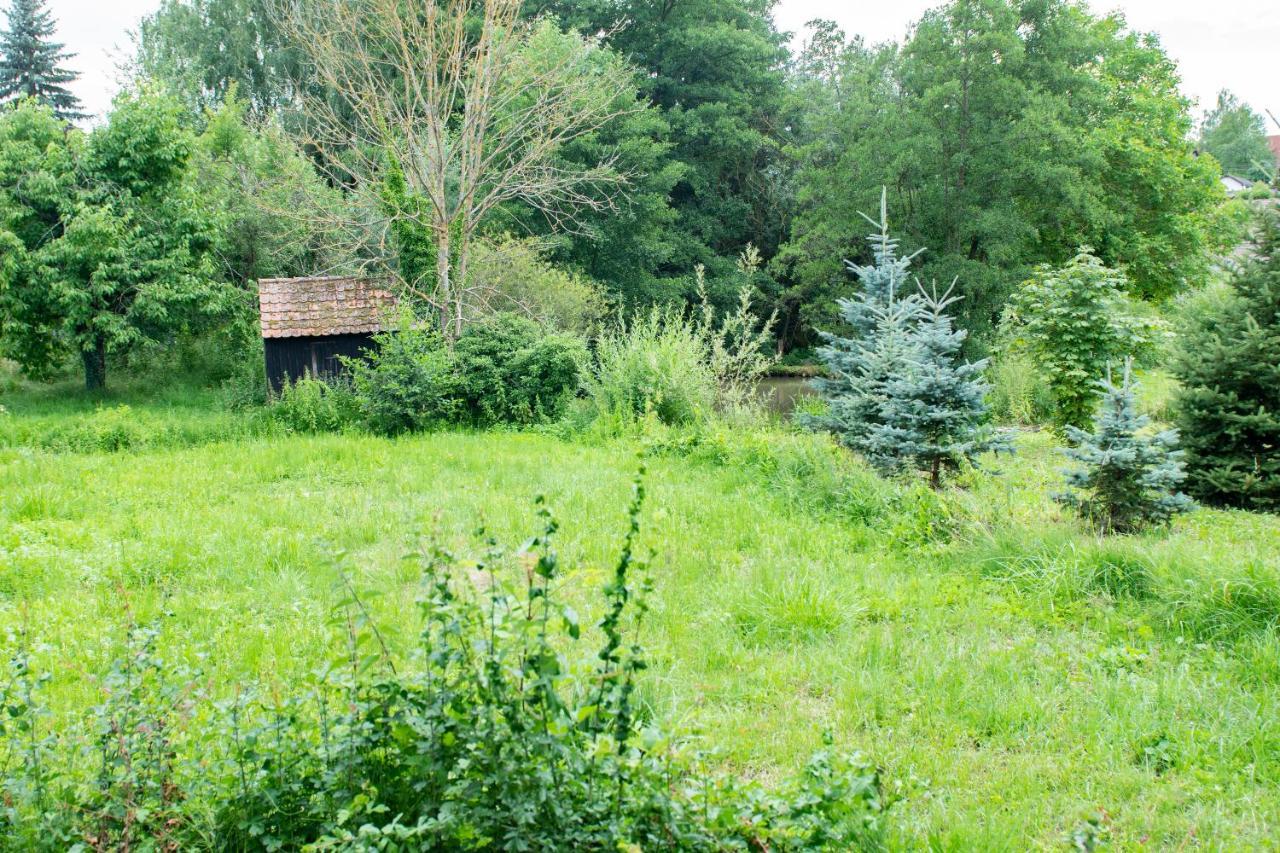 Ferienwohnung Auf Ehemaligen Bauernhof In Der Naehe Von Bamberg Walsdorf  Exterior foto